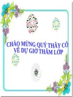 Bài 16. Thân to ra do đâu ?