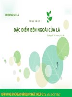 Bài 19. Đặc điểm bên ngoài của lá