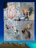 Bài 11. Sự hút nước và muối khoáng của rễ