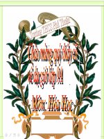 Bài 34. Khái niệm về hợp chất hữu cơ và hoá học hữu cơ