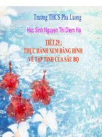 Bài 28. Thực hành: Xem băng hình về tập tính của sâu bọ