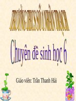 Bài 15. Cấu tạo trong của thân non