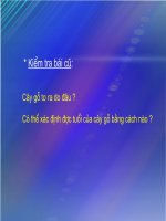 Bài 17. Vận chuyển các chất trong thân