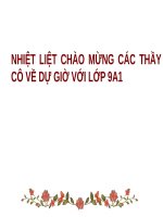Bài 30. Silic. Công nghiệp silicat.