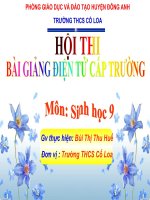 Bài giảng sinh học 9 thao giảng lai 2 cặp tính trạng ( tiếp) (3) 