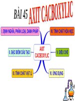 Bài 45. Axit cacboxylic