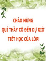 Bài 47. Chất béo