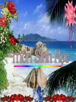 Bài 15. Cấu tạo trong của thân non