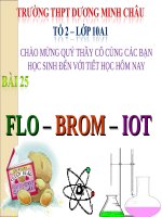 Bài 25. Flo - Brom - lot