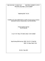 Nghiên cứu đặc điểm rừng luồng (dendrocalamus barbatus hsueh et d z LI) thoái hóa tại thanh hóa 