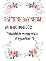 Bài 27. Bài thực hành số 2. Tính chất hoá học của khí clo và hợp chất của clo
