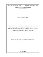 Mô hình hóa động thái năng suất, sinh khối và hấp thụ cacbon của rừng keo tai tượng (acacia mangim wild) bằng phần mềm động thái 3   PG 