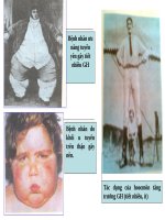 Bài 55. Giới thiệu chung hệ nội tiết