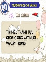 Bài 39. Thực hành: Tìm hiểu thành tựu chọn giống vật nuôi và cây trồng