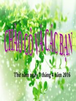 Bài 56. Thực hành: Tìm hiểu tình hình môi trường ở địa phương