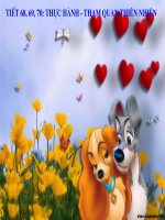 Bài 64. Tham quan thiên nhiên