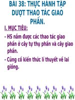 Bài 38. Thực hành: Tập dượt thao tác giao phấn