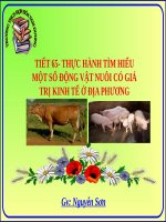 Bài 62. Tìm hiểu một số động vật có tầm quan trọng trong kinh tế ở địa phương