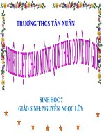 Bài 51. Đa dạng của lớp Thú: Các bộ Móng guốc và bộ Linh trưởng