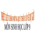 Bài 30. Di truyền học với con người