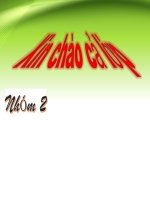 Bài 10. Tế bào nhân thực (tiếp theo)