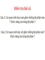 Bài 62. Thụ tinh, thụ thai và phát triển của thai