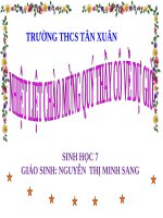 Bài 50. Đa dạng của lớp Thú: Bộ Ăn sâu bọ, bộ Gặm nhấm, bộ Ăn thịt