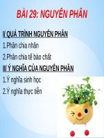 Bài 18. Chu kì tế bào và quá trình nguyên phân