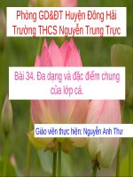 Bài 34. Đa dạng và đặc điểm chung của các lớp Cá