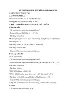 Đề cương ôn tập học kì 2 môn hóa học lớp 12 