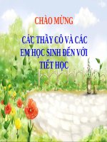 Bài 42. Lớp Hai lá mầm và lớp Một lá mầm