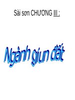 Bài 16. Thực hành: Mổ và quan sát giun đất