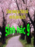 Bài 53. Tác động của con người đối với môi trường