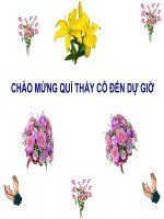 Bài 49. Đa dạng của lớp Thú: Bộ Dơi và bộ Cá voi