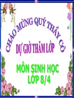 Bài 29. Hấp thụ chất dinh dưỡng và thải phân