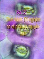 Bài 12. Thực hành: Thí nghiệm co và giảm co nguyên sinh