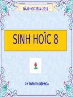 Bài 55. Giới thiệu chung hệ nội tiết