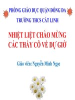 Bài 47. Thực vật bảo vệ đất và nguồn nước