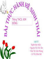 Bài 51. Thực hành: Hệ sinh thái