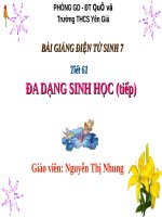 Bài 58. Đa dạng sinh học (tiếp theo)