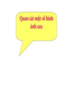 Bài 22. Dinh dưỡng, chuyển hóa vật chất và năng lượng ở vi sinh vật