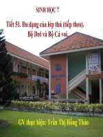 Bài 49. Đa dạng của lớp Thú: Bộ Dơi và bộ Cá voi