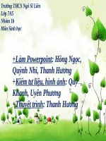 Bài 14. Một số giun tròn khác và đặc điểm chung của ngành Giun tròn