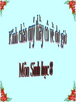 Bài 52. Phản xạ không điều kiện và phản xạ có điều kiện