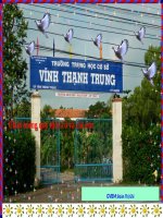 Bài 38. Rêu - Cây rêu