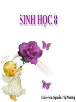 Bài 55. Giới thiệu chung hệ nội tiết