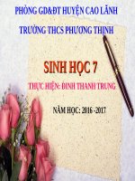 Bài 51. Đa dạng của lớp Thú: Các bộ Móng guốc và bộ Linh trưởng