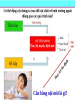 Bài 20. Cân bằng nội môi