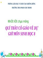 Bài 28. Tiêu hóa ở ruột non