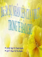 Bài 30. Sự nhân lên của virut trong tế bào chủ